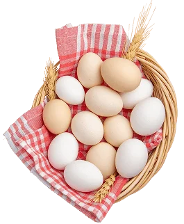 Telur Ayam ELBA